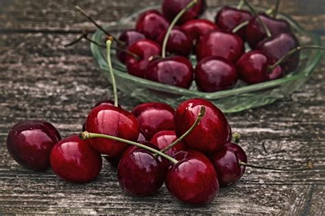 Dwarf Bing Cherry Tree - Grow the worlds favorite sweet cherry, right – Online Orchards