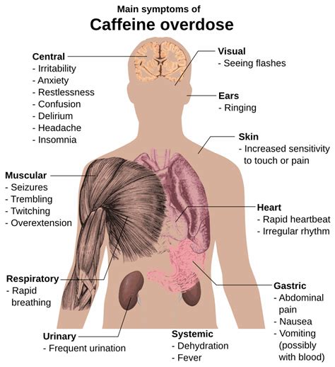 Caffeine overdose symptoms