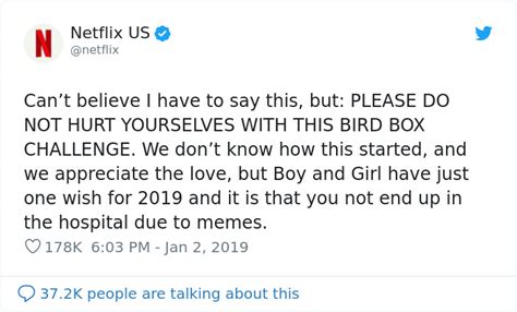 Netflix Warns People To Stop Doing The ‘Bird Box Challenge’, But Not ...