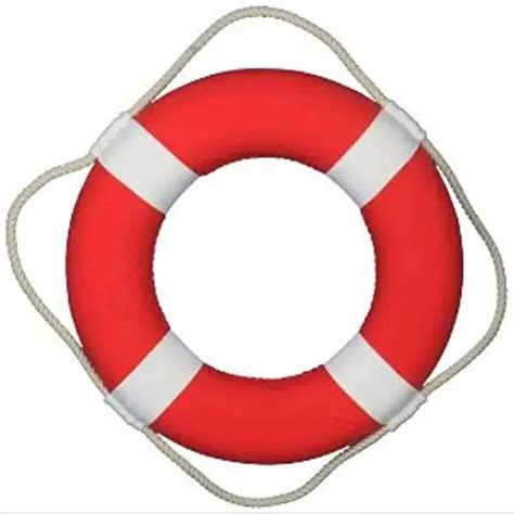 Amazon.com: life preserver ring - Throw Rings / Safety & Flotation Devices: Sports & Outdoors ...