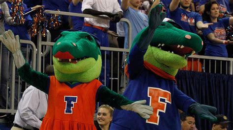 Florida Gators mascots Albert, Alberta getting new costumes - Alligator ...