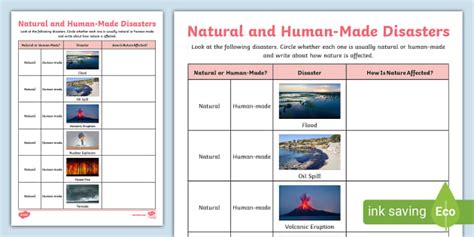 Natural and Human-Made Disasters Activity (Teacher-Made)