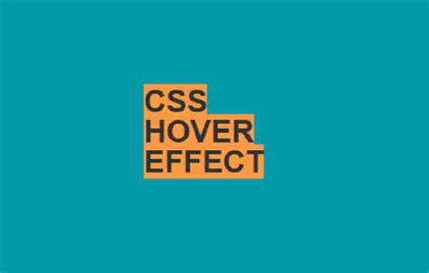 Free Html CSS Hover Effects 2024 Download In zip