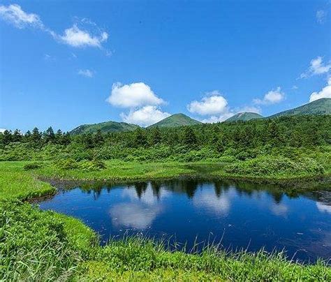 THE 15 BEST Things to Do in Tohoku - 2022 (with Photos) - Tripadvisor