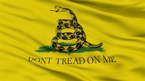 Meet the fearless middle schooler who dared to wear the Gadsden flag in class | Learn Liberty