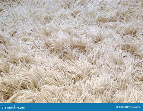 Fluffy carpet stock image. Image of soft, background - 53543459