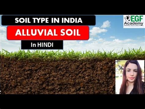 Alluvial Soil l Soil Type In India l division of alluvial soil: bhabar terai bhangar khadar ...