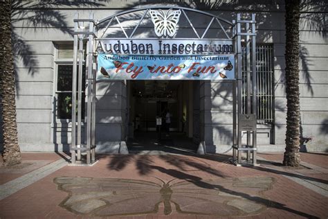 Audubon Butterfly Garden and Insectarium Celebrates 10th ANT-iversary