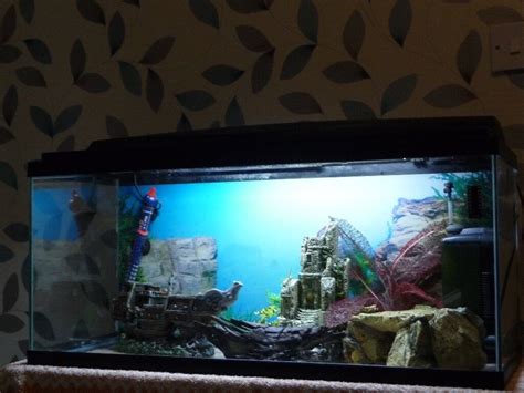 CIANO CF80 TROPICAL AQUARIUM WITH FILTER, PUMP, HEATER & ACCESSORIES | in Axminster, Devon | Gumtree