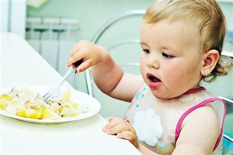 Indian Food Recipes For Toddlers