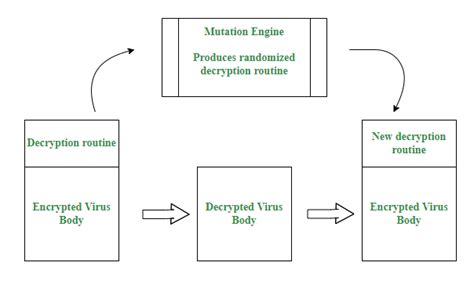 What are Polymorphic Viruses? - GeeksforGeeks