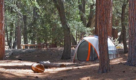 Forest Camping Southern California 16++ | IDN Camping