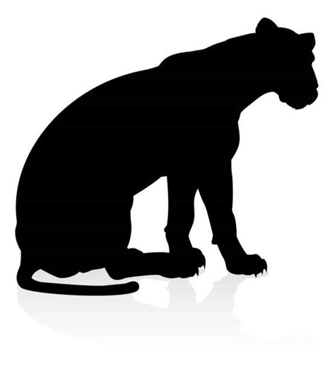 Mountain Lion Silhouette Illustrations, Royalty-Free Vector Graphics ...