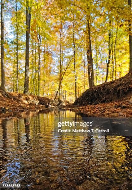 74 Carroll Creek Park Stock Photos, High-Res Pictures, and Images ...