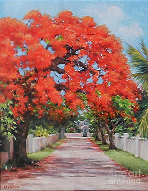 Royal Poinciana tree Painting by Vivien Archer - Fine Art America