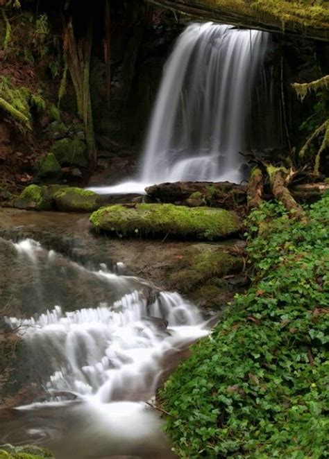 mystic falls | Waterfall pictures, Rainbow waterfall, Mystic falls