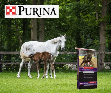 April Specials on Purina Horse Feed :: Southside Feed & Supply