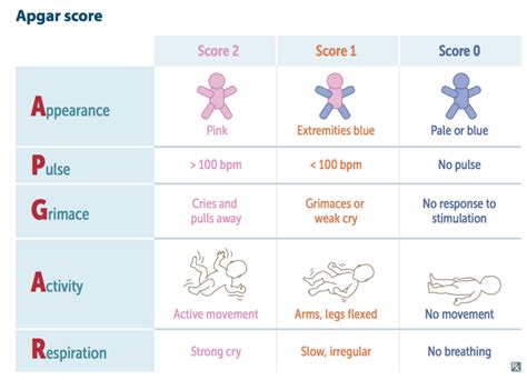 Printable Apgar Score Chart