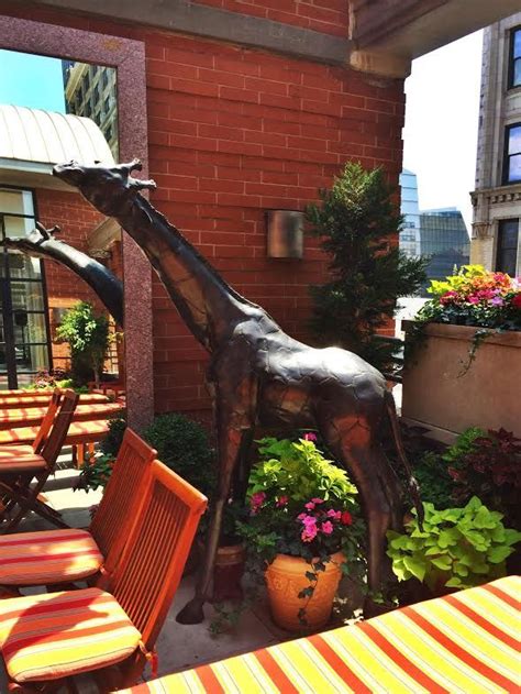 Our giraffe is soaking up some #sun on our Rooftop Garden! Come join him this summer! # ...