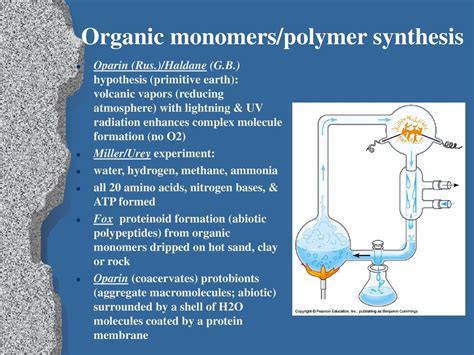 Lecture Origin of Life Chapter 21 ~ The Origin and Evolutionary History of Life. - ppt download