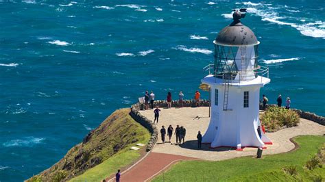 10 Best Hotels Closest to Cape Reinga Lighthouse in Cape Reinga for 2020 | Expedia.co.nz