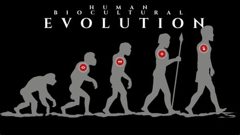 HUMAN BIOCULTURAL EVOLUTION