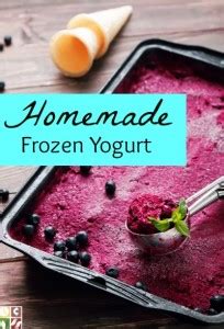 Homemade Frozen Yogurt Recipe