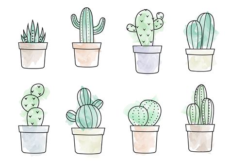 A free vector illustration of eight different types of cacti. Hope you ...