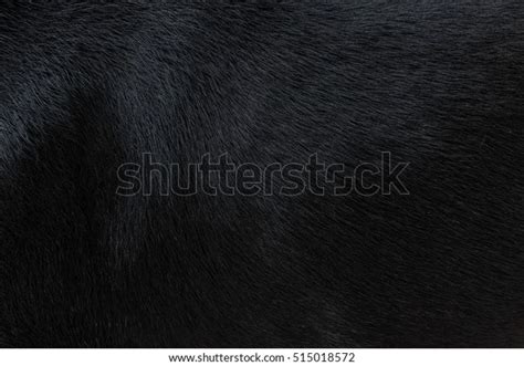 165,651 Black Fur Texture Royalty-Free Images, Stock Photos & Pictures ...