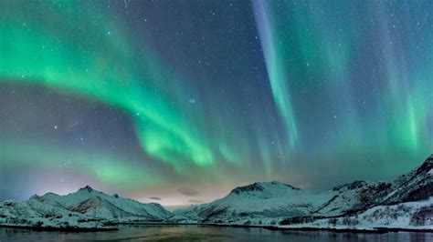 Northern lights, polar light or aurora borealis over Lofoten islands, Norway | Windows Spotlight ...