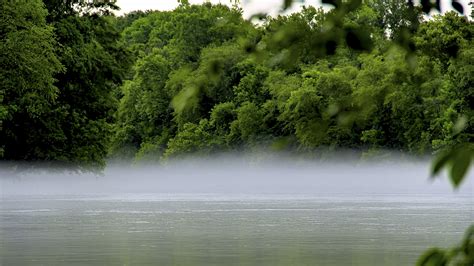 Chattahoochee River | Chattahoochee river, Natural landmarks, River