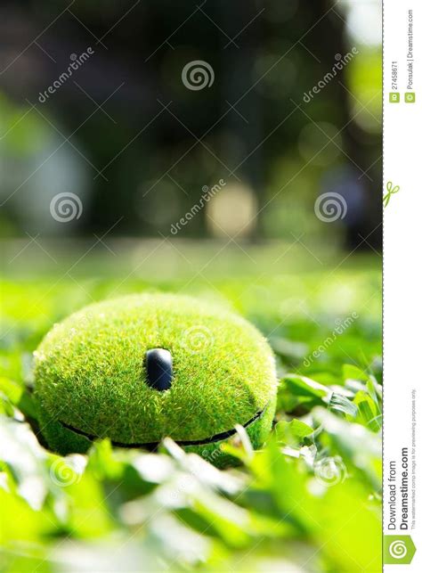 Green computer mouse stock image. Image of environmentally - 27458671