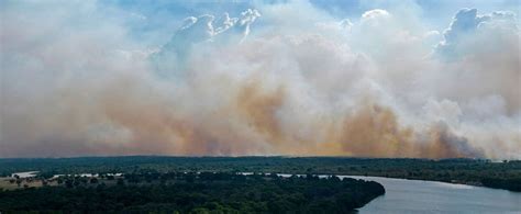 Brazil: “Out Of Control” Fires Are Endangering The World’s Largest Wetland