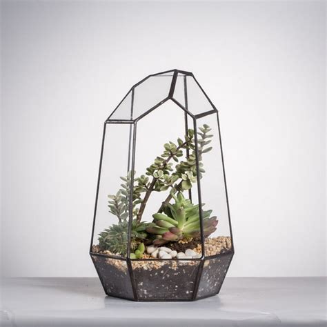 DIY succulent terrarium design ideas – tips for beginner gardeners