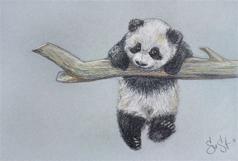 How To Draw A Cute Little Panda Drawings Art Drawings - vrogue.co