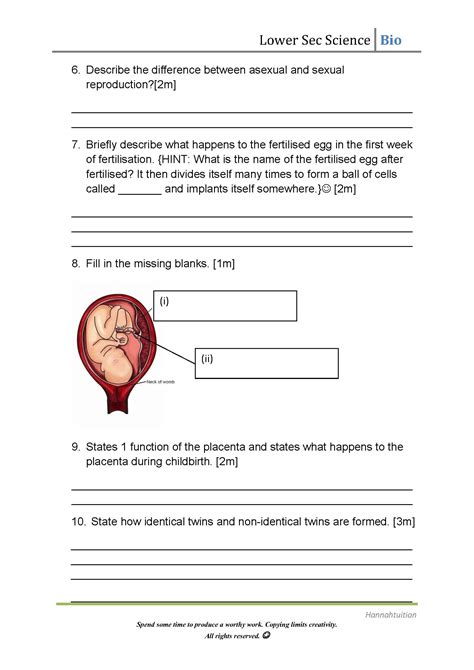 Lower Sec Human Sexual Reproduction Quiz 2