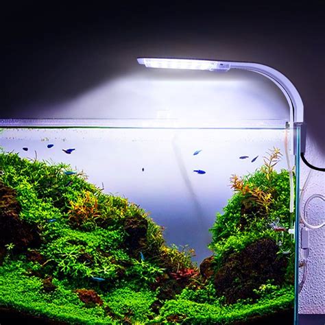 EU Plug Ultra Bright 10W LED Aquarium Light Clip-on Fish Tank Lights ...