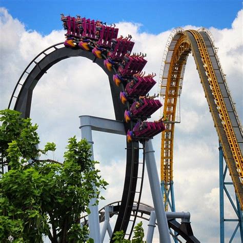 an amusement park ride with people on it's roller coaster and trees in the foreground