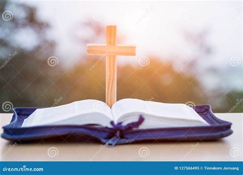 Open Bible, Script in Blur with Focus on Palm Cross,on Sunrise B Stock ...