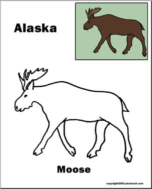 Alaska: State Animal - Moose | Abcteach