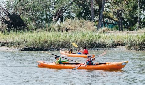 Kayaking In Hilton Head: Complete Guide - Kayak Help