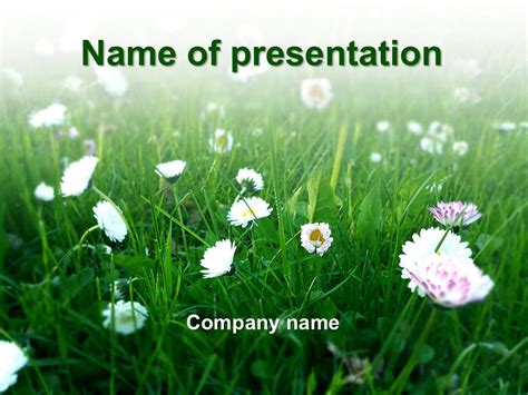 Download free Summer Flowers powerpoint template for presentation | My ...