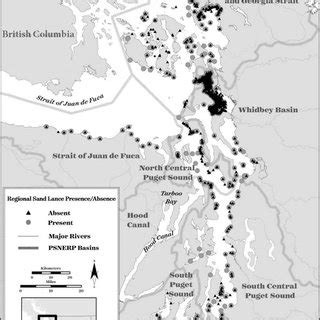 (PDF) Nearshore Distribution of Pacific Sand Lance ( Ammodytes ...