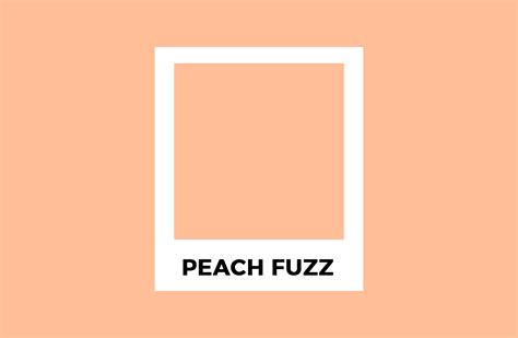 Pantone công bố màu sắc của năm 2024 – sắc cam đào Peach Fuzz