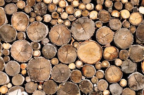 Log wood texture stock photo. Image of nature, cold, lumber - 14397844