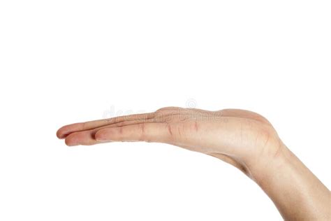 Human hand palm facing up stock photo. Image of white - 29244476