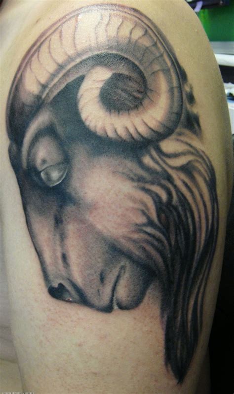 Great ram pictures - Tattooimages.biz