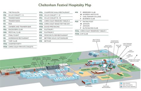 Cheltenham Festival | Corporate Hospitality | Team Tactics