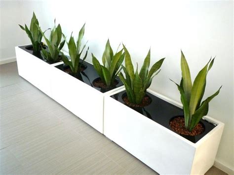 Indoor Planter Boxes - Ideas on Foter