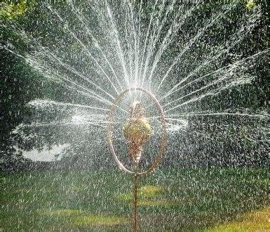 The Sprinklers | Hoppy's Garden Art